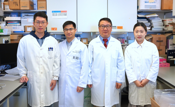 The research team, led by Professor Tu Wenwei (second right) and Professor Wang Weiping (second left), has made a breakthrough in cancer treatment by developing a new therapy which showed a significant reduction in melanoma growth, leading to more effective and safer treatments for cancers.
 